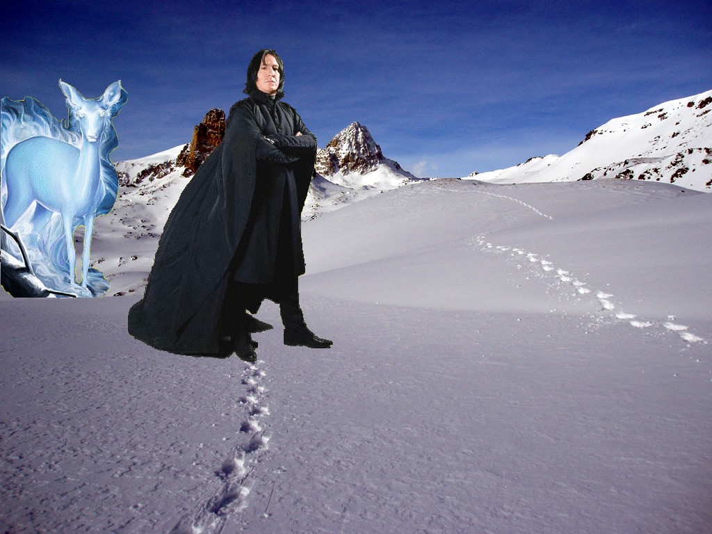 Pourquoi Le Patronus De Rogue Est Une Biche Patronus biche - severus rogue et biche dessin